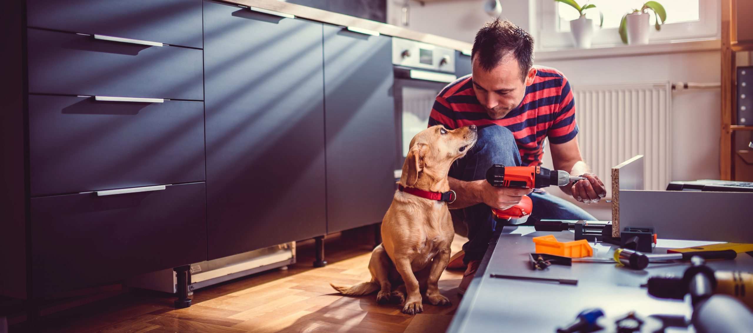 5 essential power tools for diy home renovation