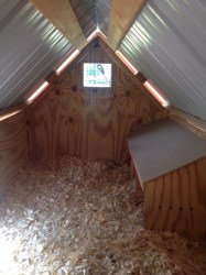 Chicken Coop Can Hold Up to 5 : 6 Steps Instructables