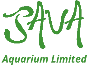 Contact Us Java Plants - Nature Pattern Collection - 4K Quality