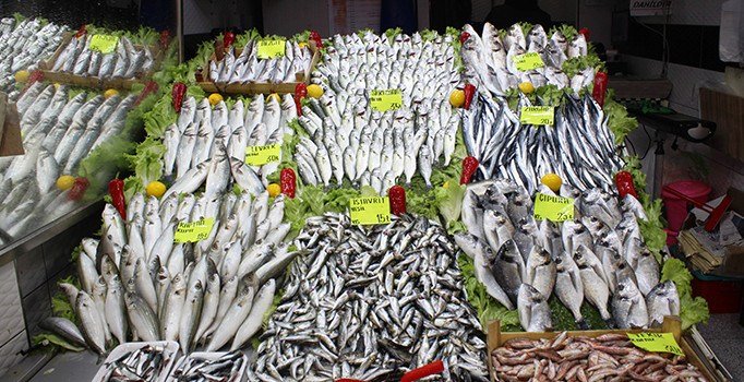 Kaya Uzen Canakkale Valisi Ilhami Aktas Ile Balik Hali Ndeki Mezat Programina Katildi Ezineturk