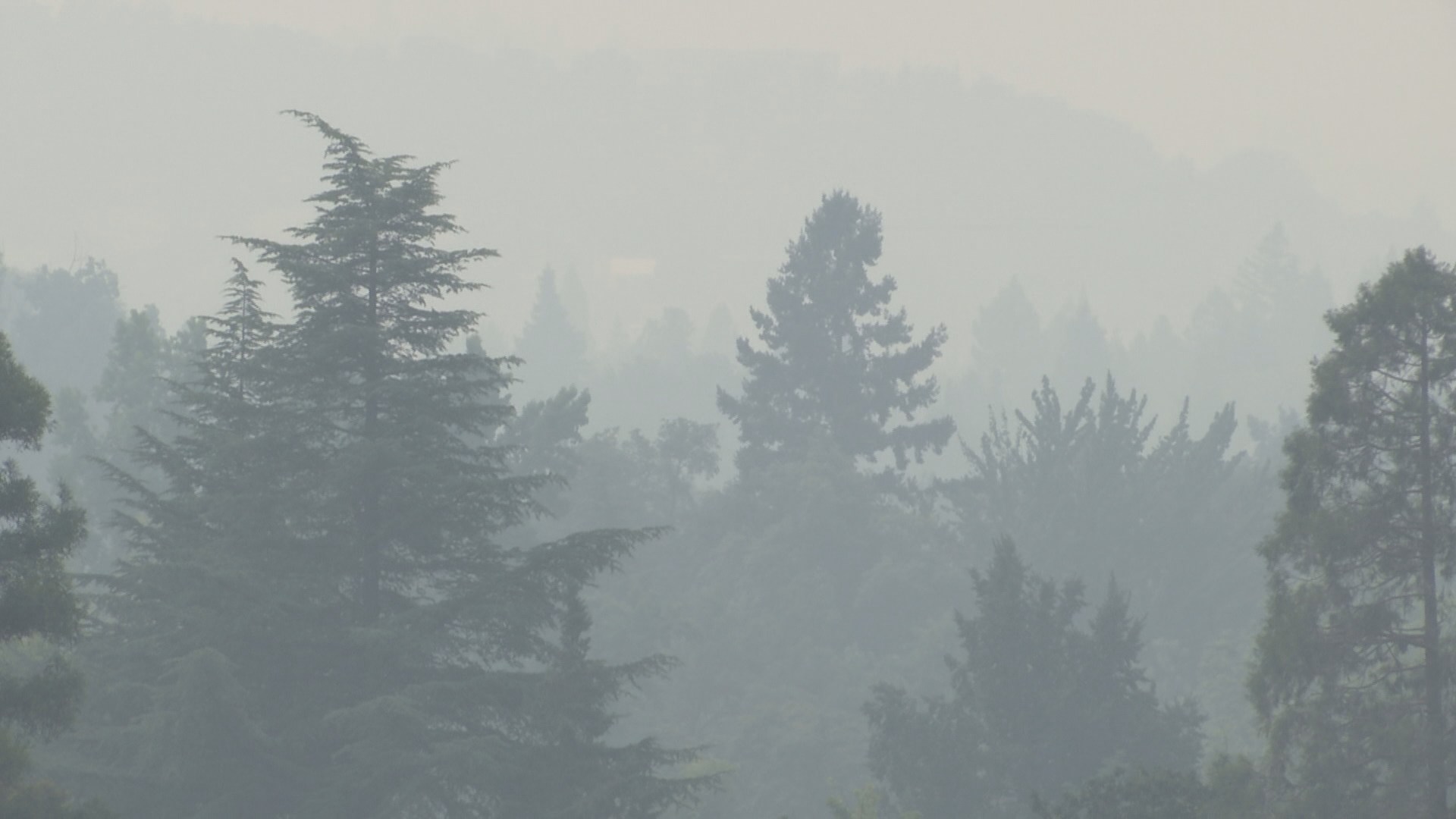 2005 Civil War A K A The Fog Bowl Civil War Oregon Ducks Fog On Unblocked Games 66 Fun 1 On 1 Hockey.