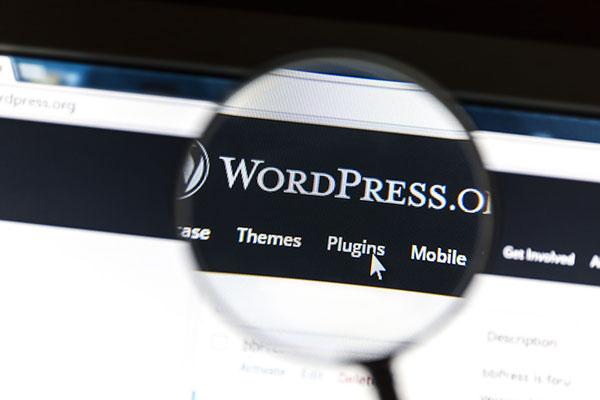 For example, we could send a text (no html) comment to save. Making Your Wordpress Plugin Responsive By Using Ajax Learnwoo
