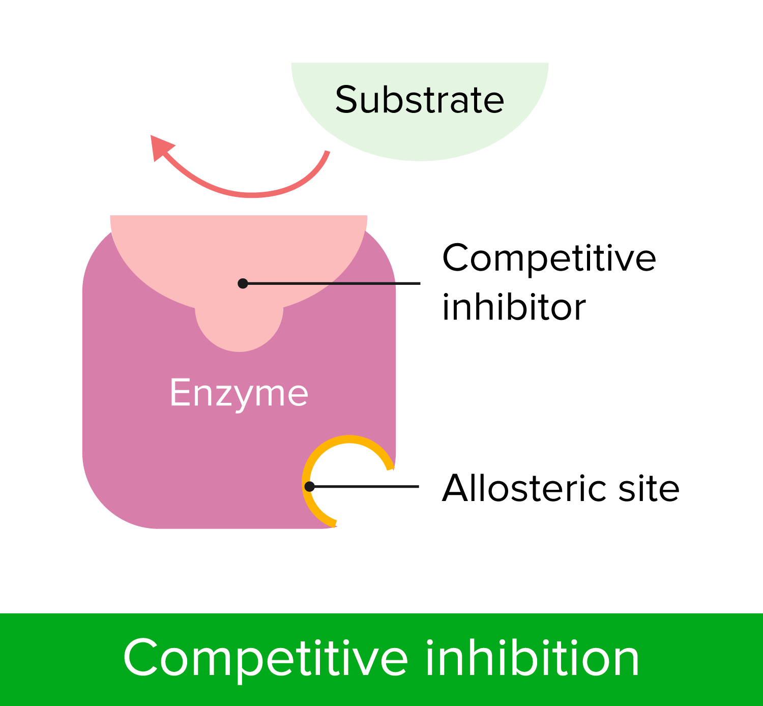 Enzyme inhibition