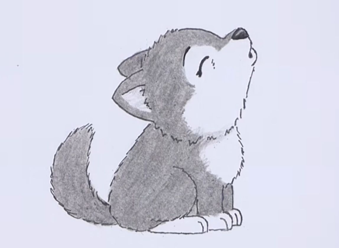 How to draw a wolf: 10 easy drawing projects