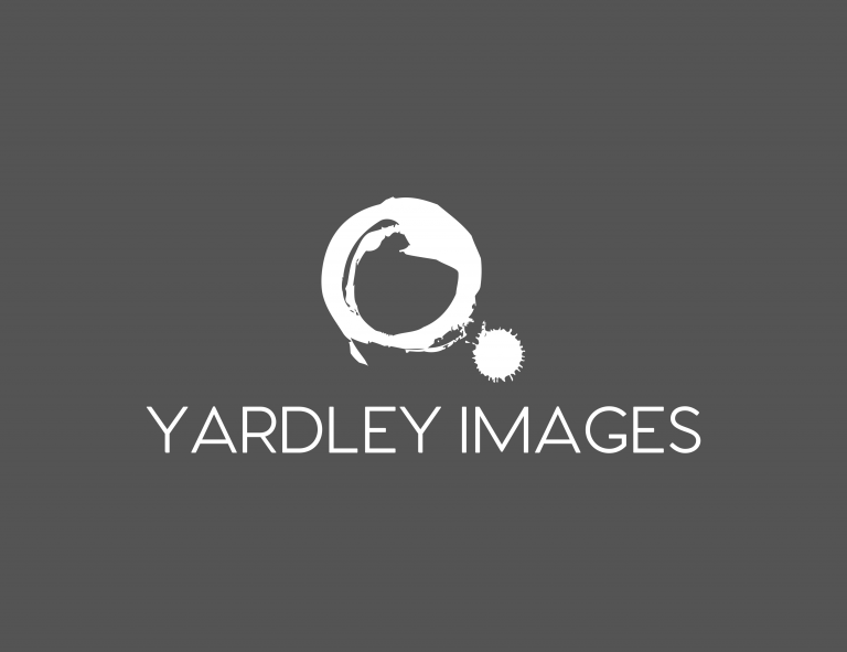 Photography Logo Ideas Make Your Own Photography Logo Looka