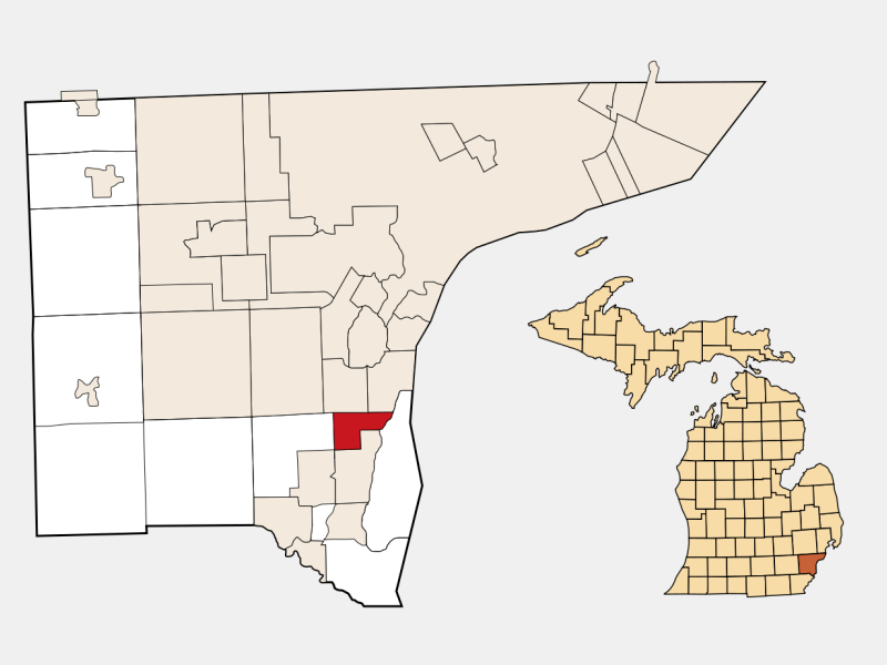 Riverview MI Geographic Facts Maps Mapsof Net Newaygo County Locator Map Image 191895.