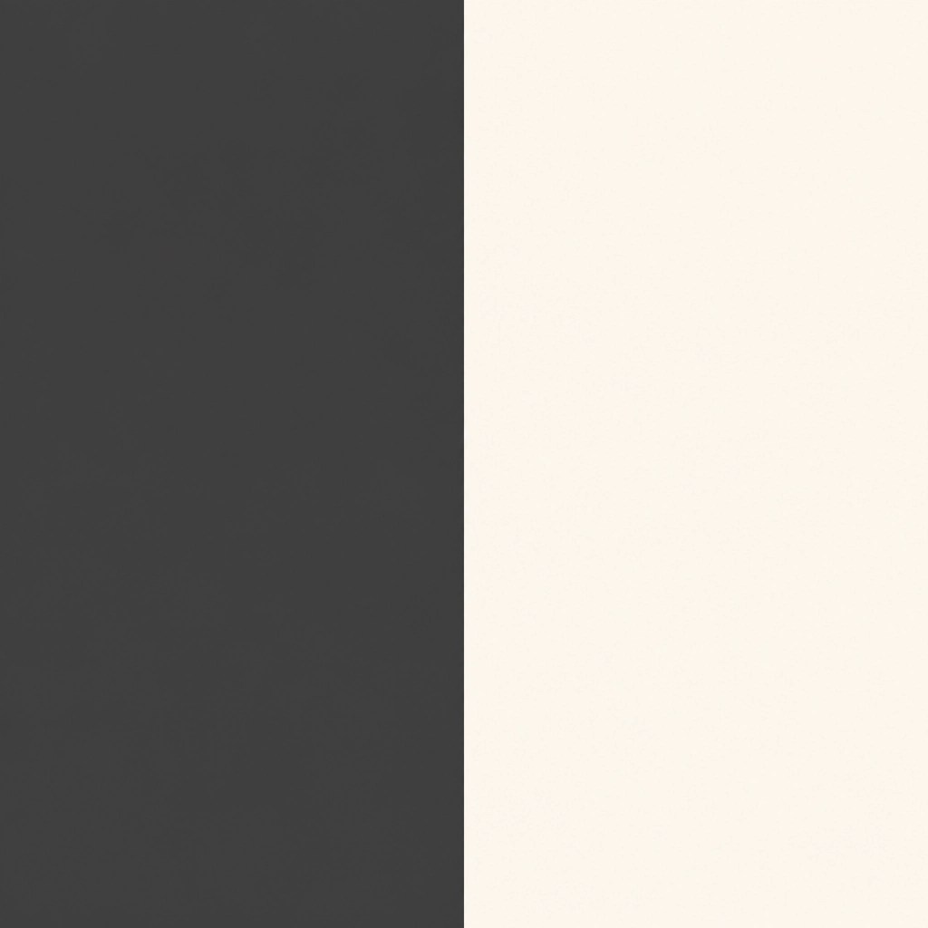 A minimalist monochromatic illustration representing the separation of light from darkness.