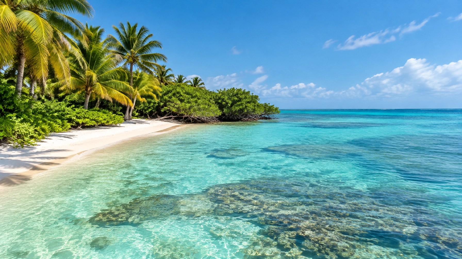 Quiet Caribbean shoreline near Puerto Morelos with turquoise water, white sand, and lush palms