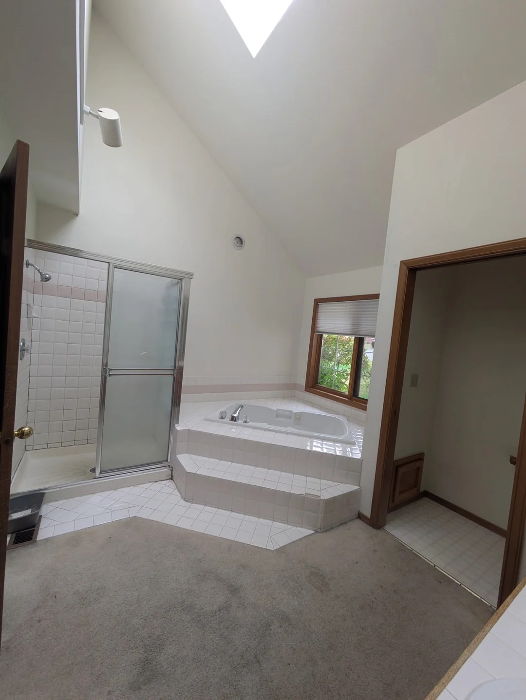 Outdated bathroom before renovation showing moisture issues