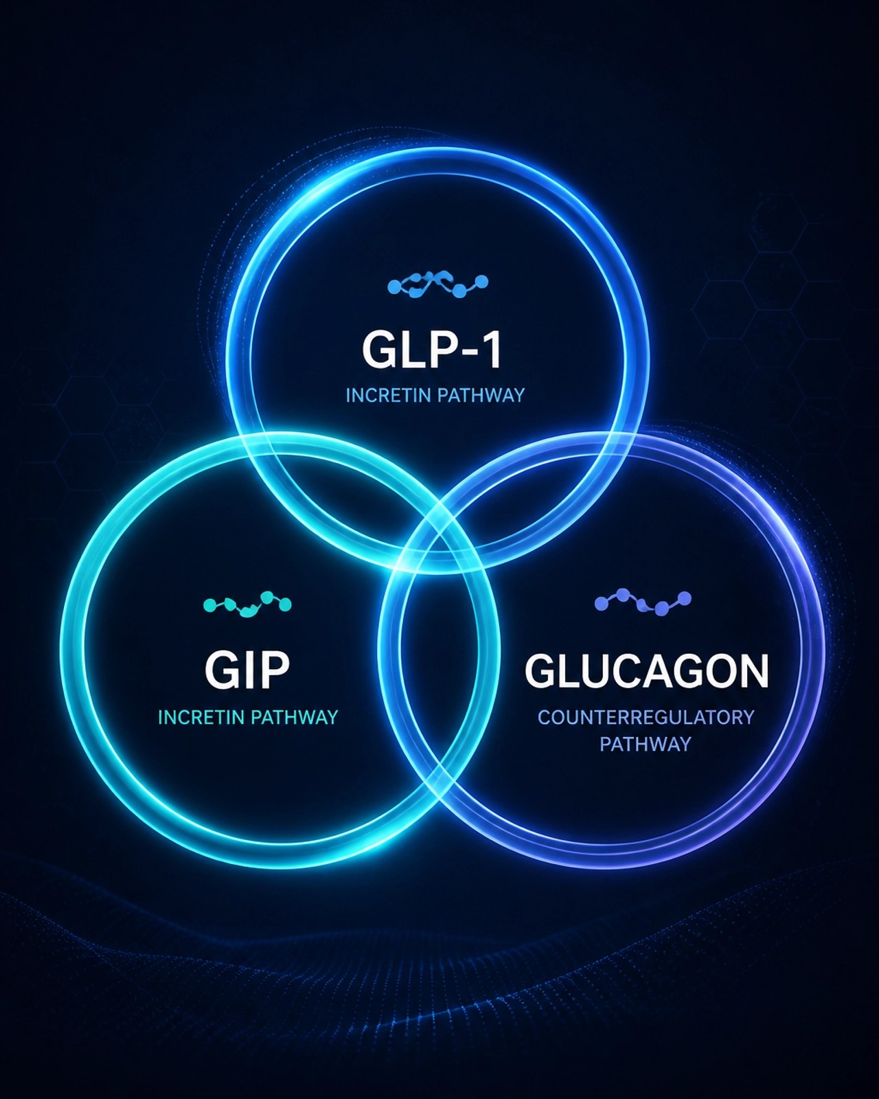 The Triple Agonist concept: Interlocking GLP-1, GIP, and Glucagon pathways