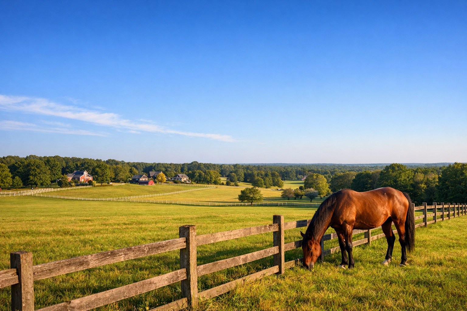 Scenic Milton, Georgia horse pasture symbolizing peace of mind through life insurance.