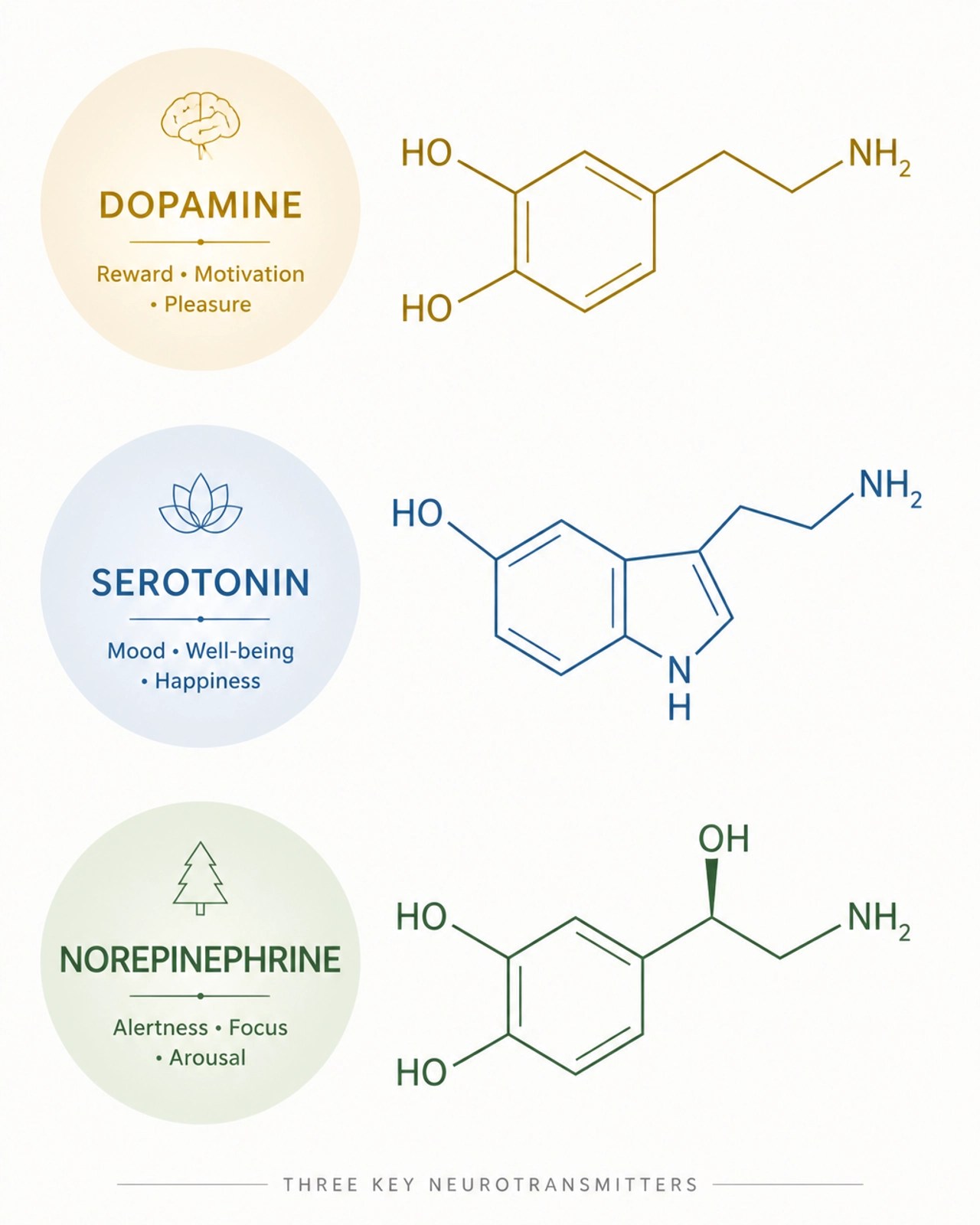 The Triple Neurotransmitter Profile