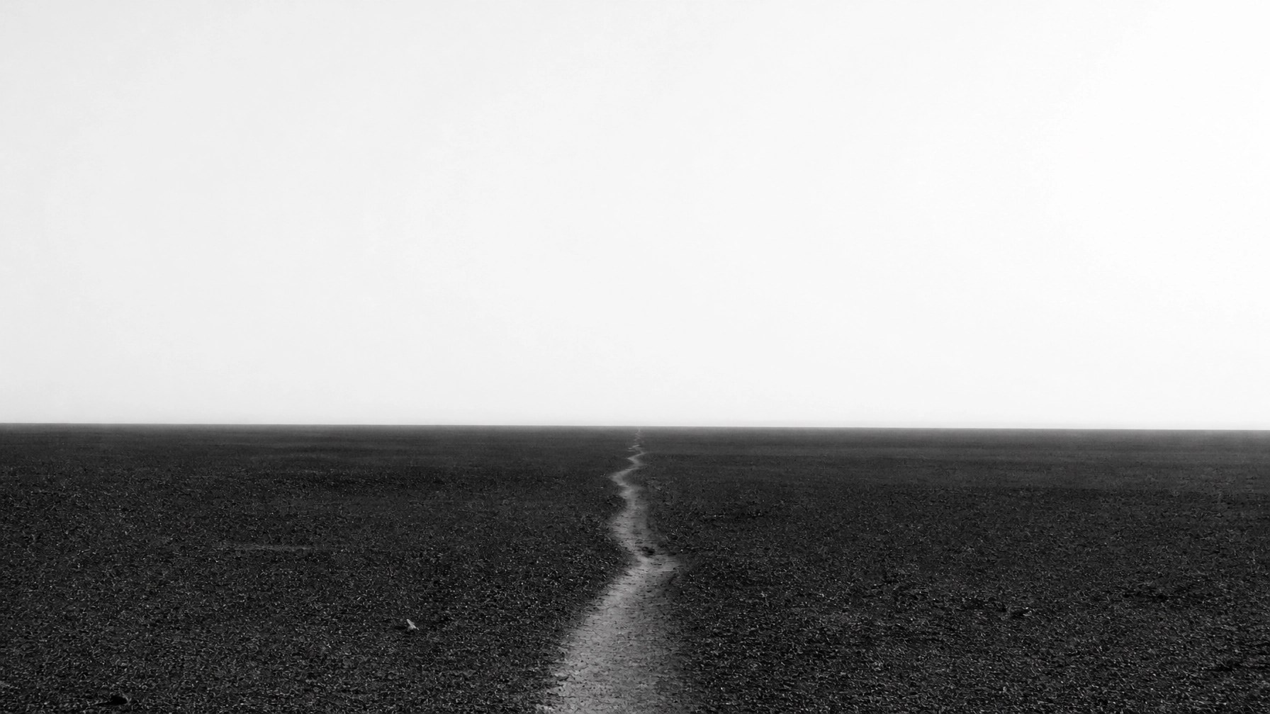 The Narrow Path