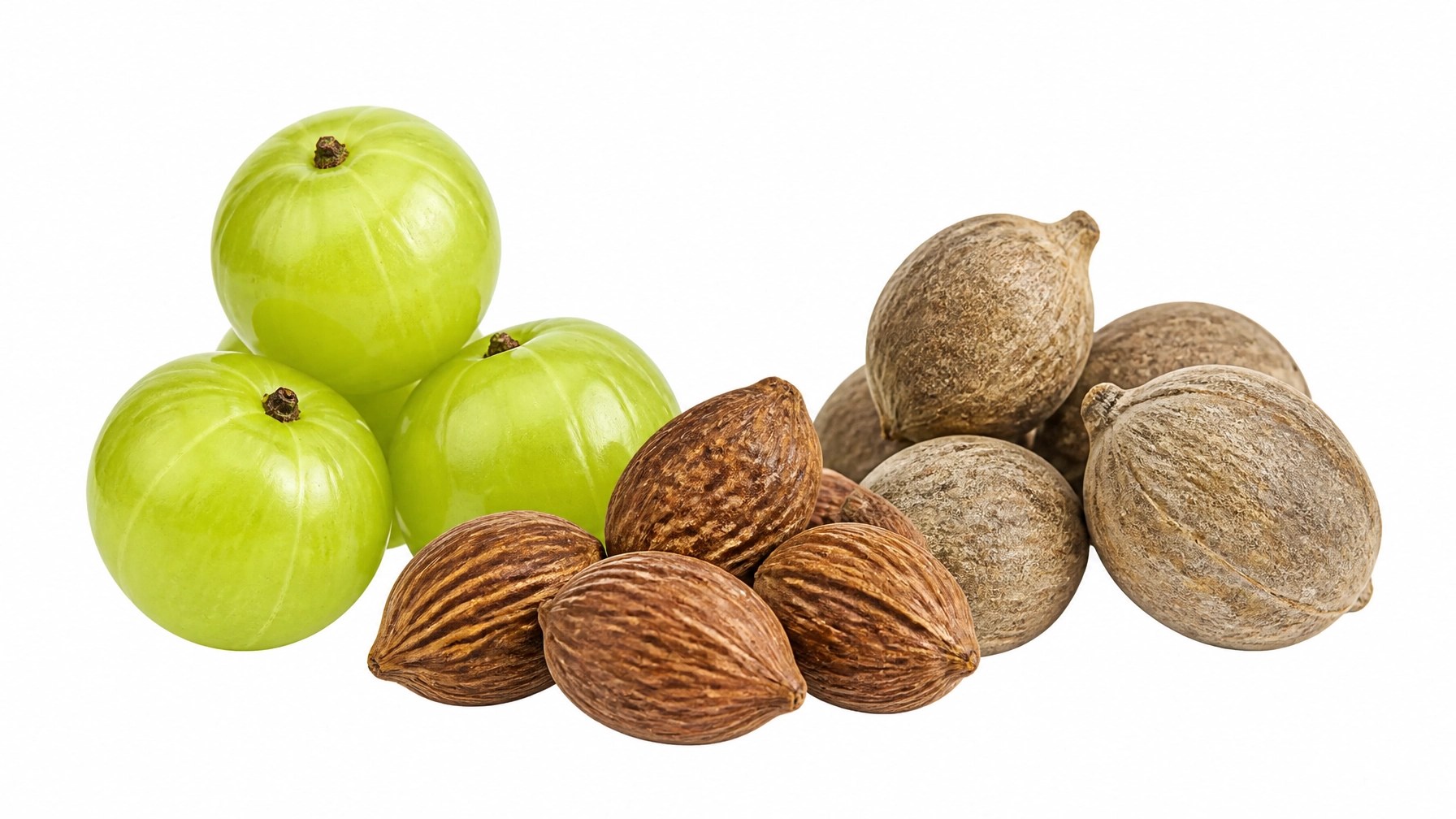 Ilustración de los tres frutos de Triphala: Amalaki, Haritaki y Bibhitaki