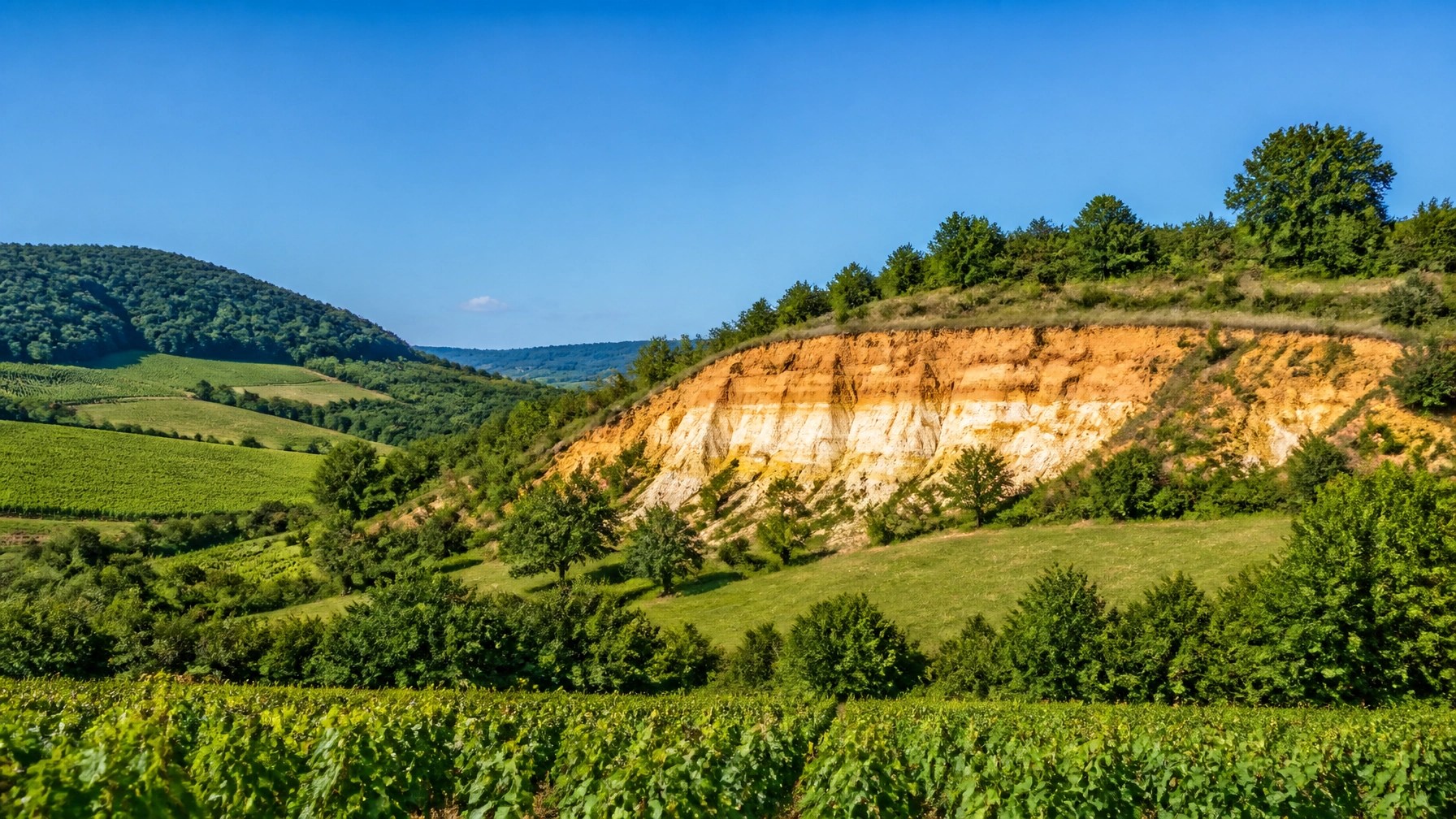 Pristine French countryside where healing clay is sourced