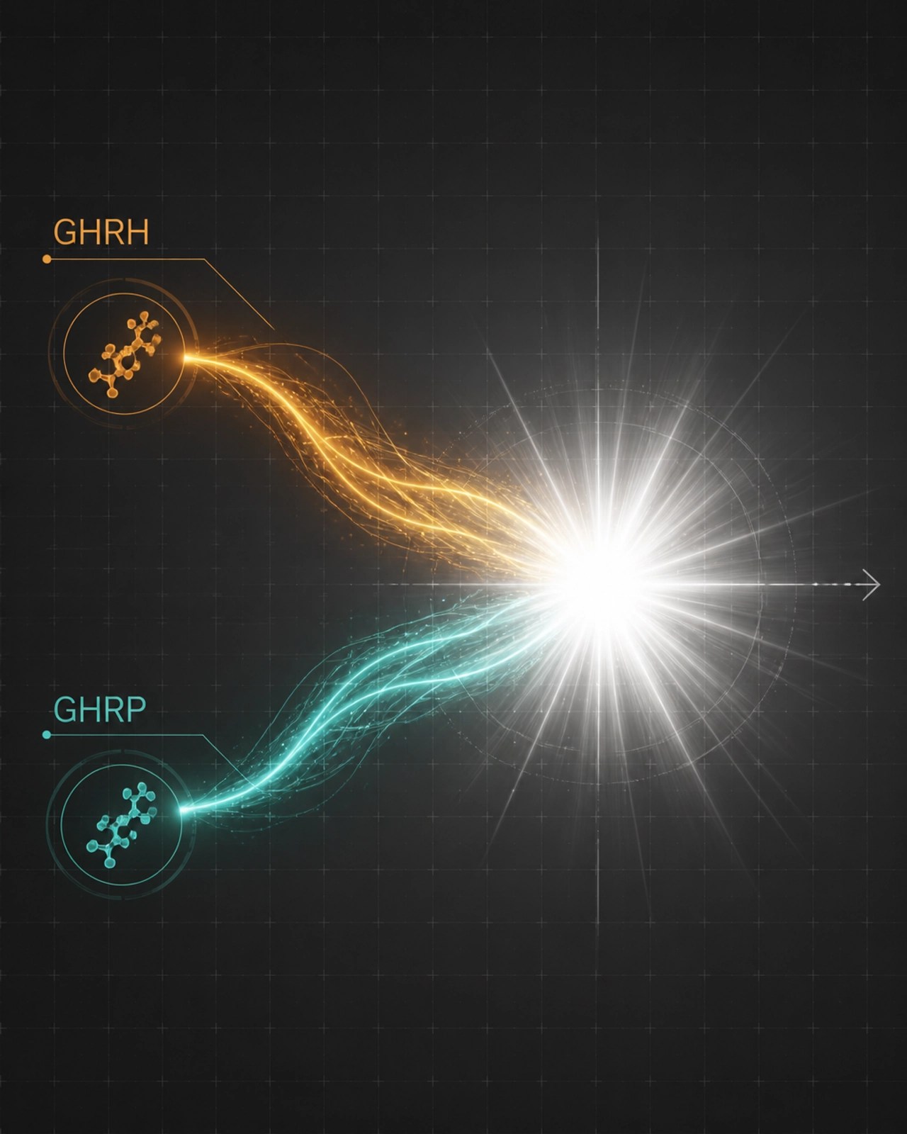 The Synergy of GHRH and GHRP