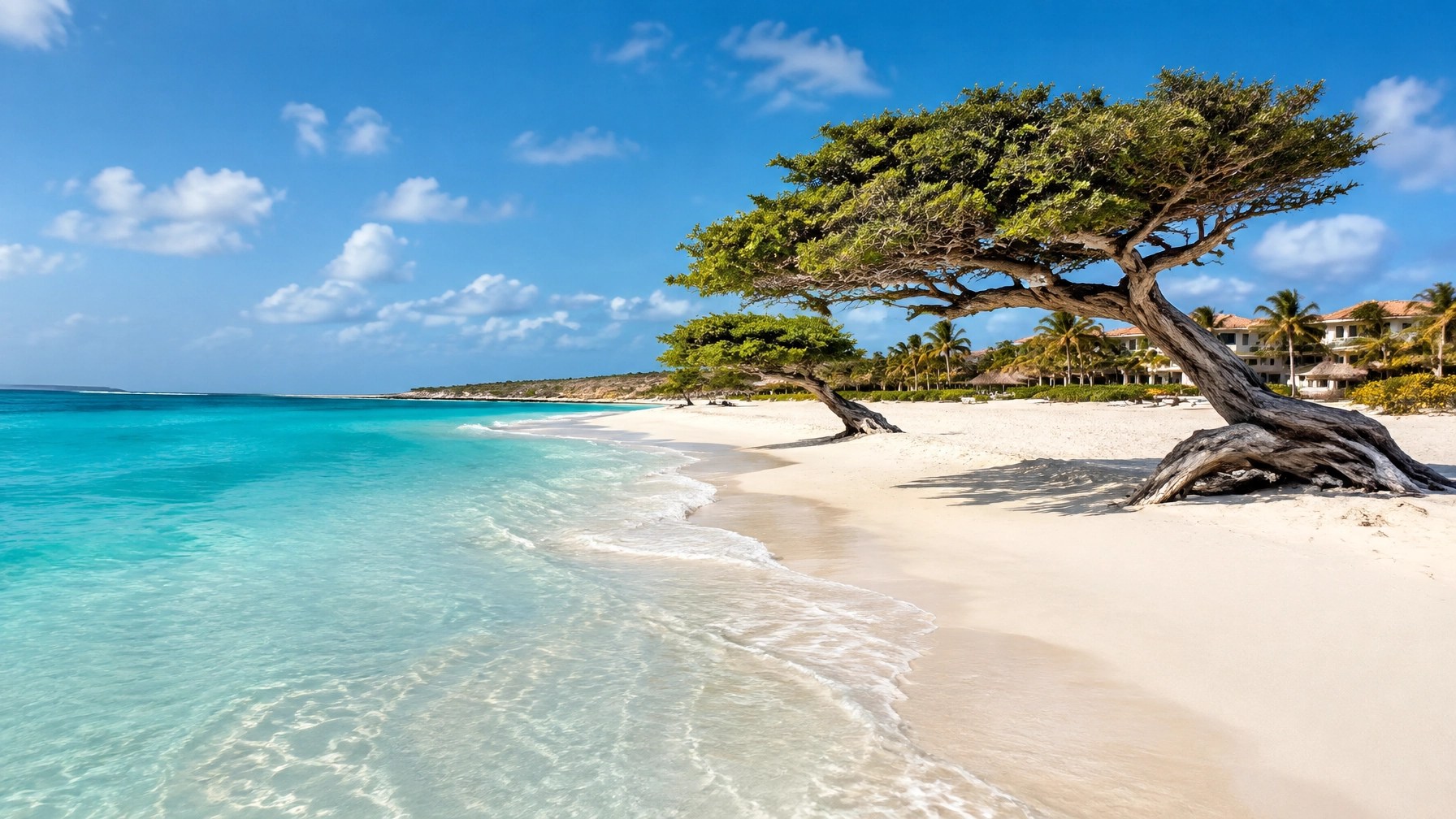 Sunny Aruba beach with white sand, turquoise water, windswept trees, and warm desert-toned resort scenery