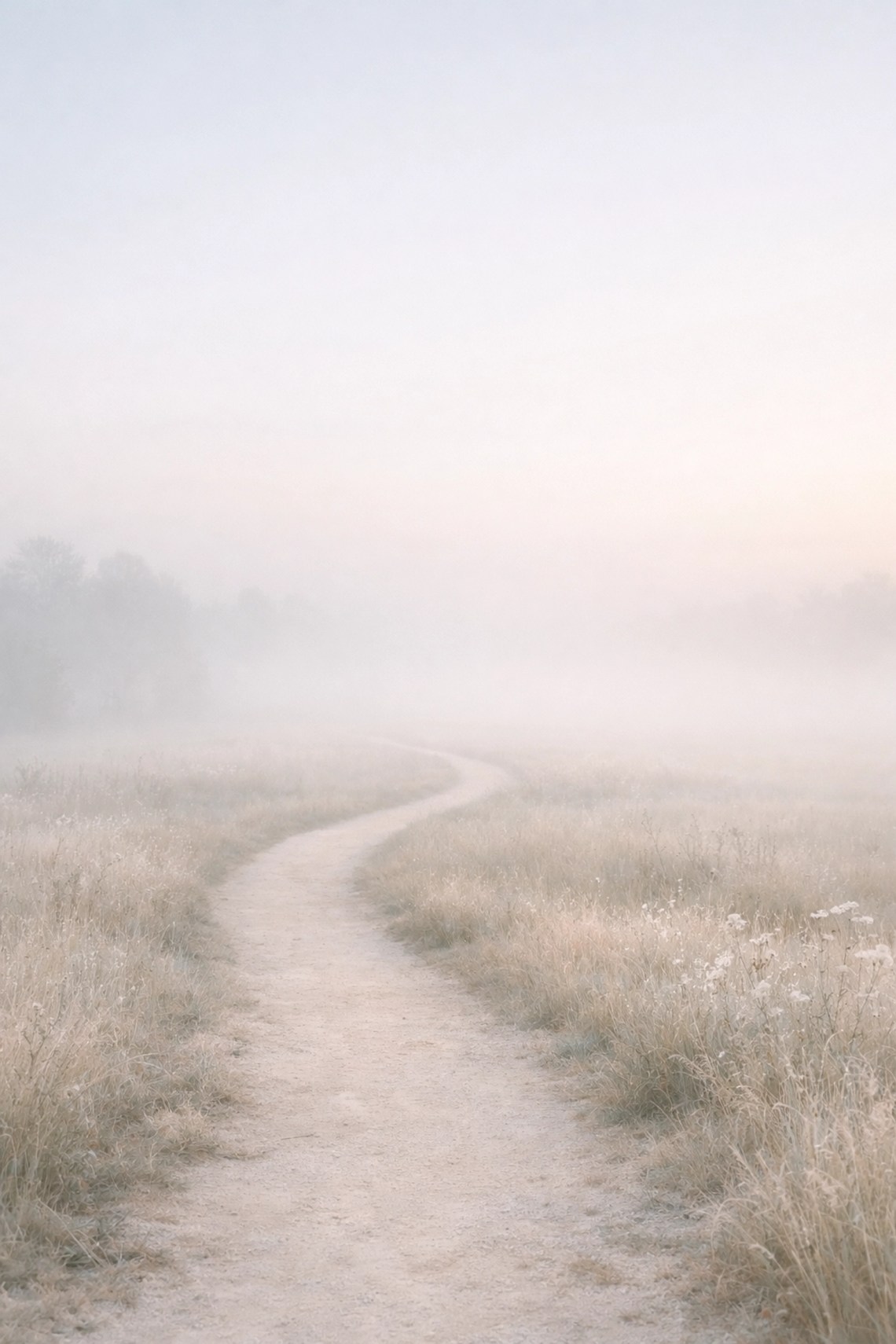 A peaceful misty path through a meadow, symbolizing a fresh start in walking with the Creator.