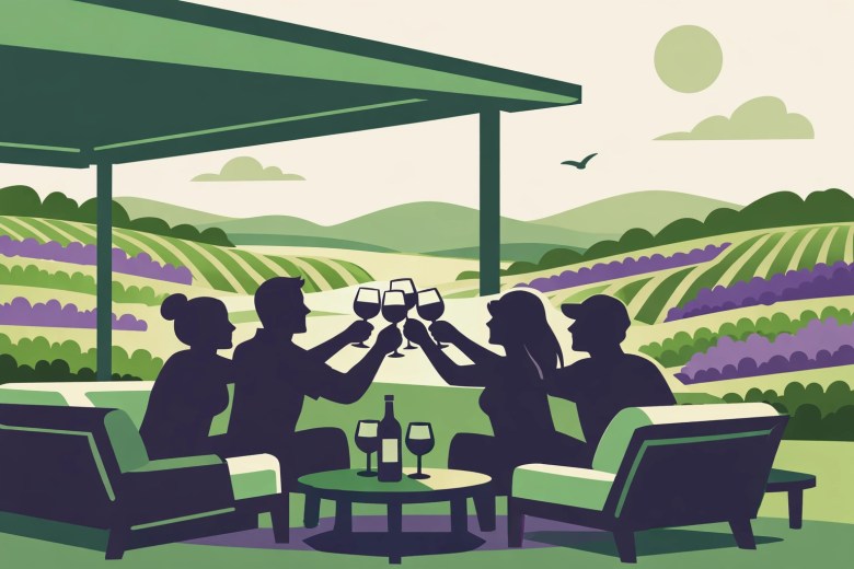Friends clinking glasses during a group wine tour in Virginia with scenic vineyard views.