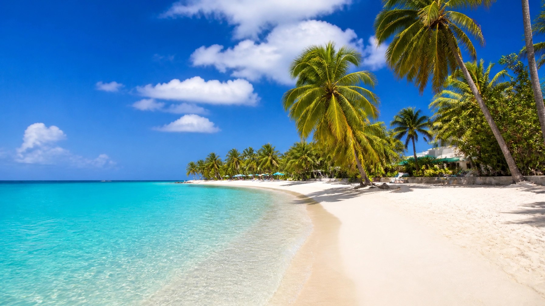 Stunning Caribbean beach in Barbados with powder white sand and crystal turquoise water