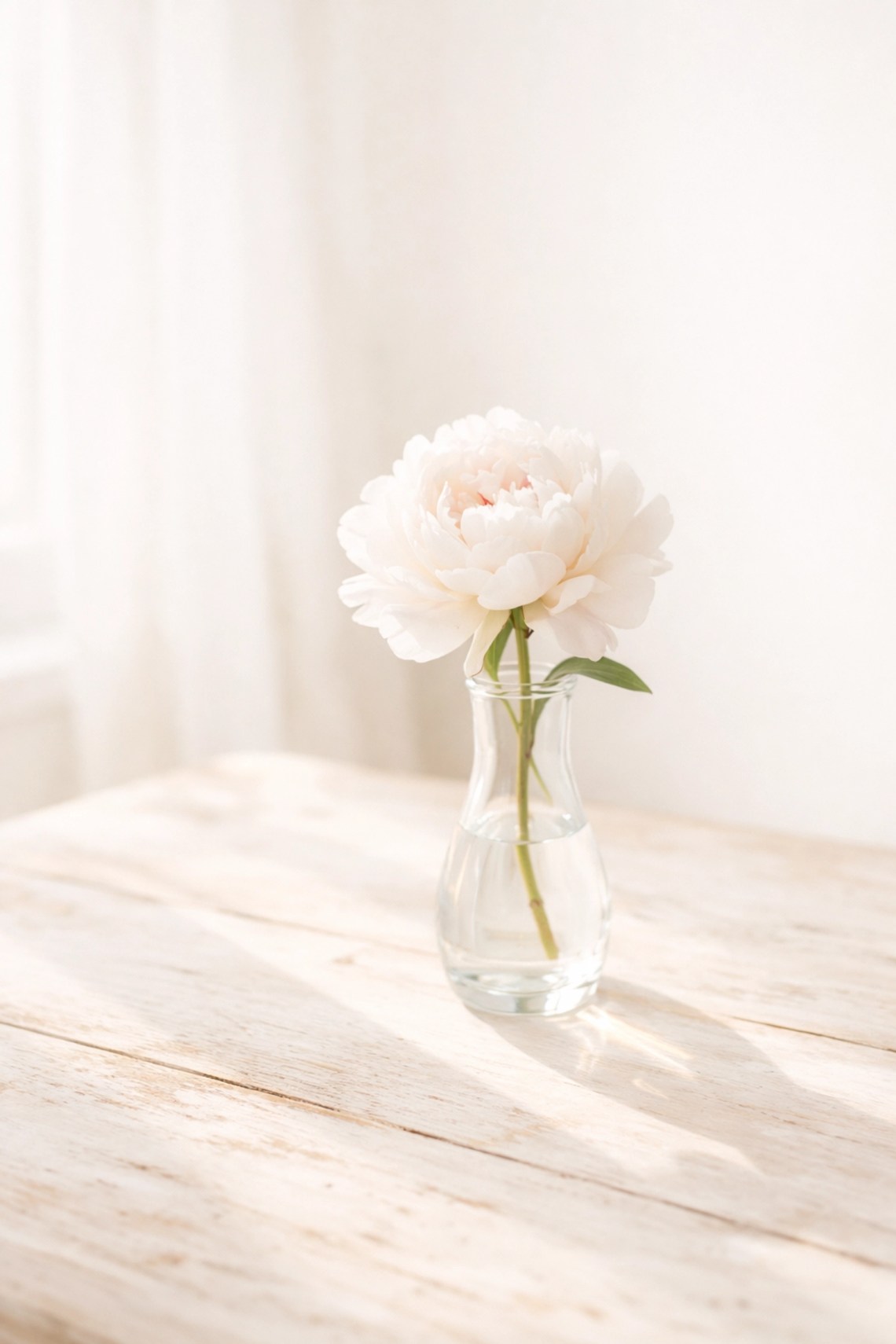 Freedom from Guilt: Parenting Under God's Grace 6 A delicate white peony in a vase, symbolizing the beauty of grace in imperfect Christian motherhood.