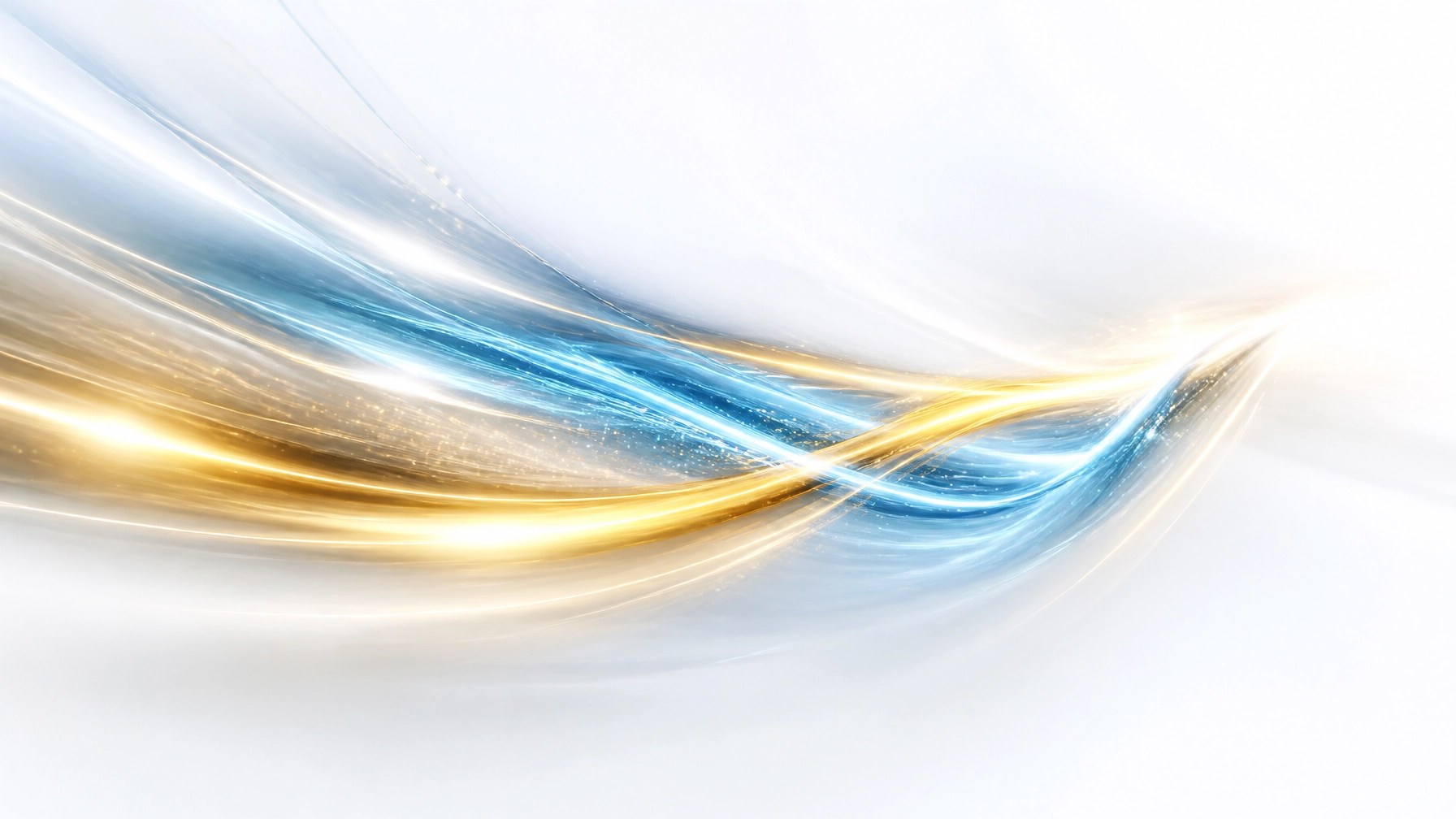 Metabolism Energy Flow