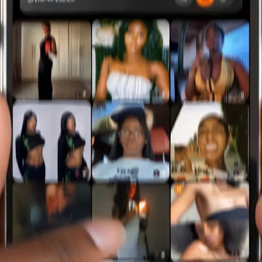 The Niftee One Social Media Showcase grid displaying diverse portfolios