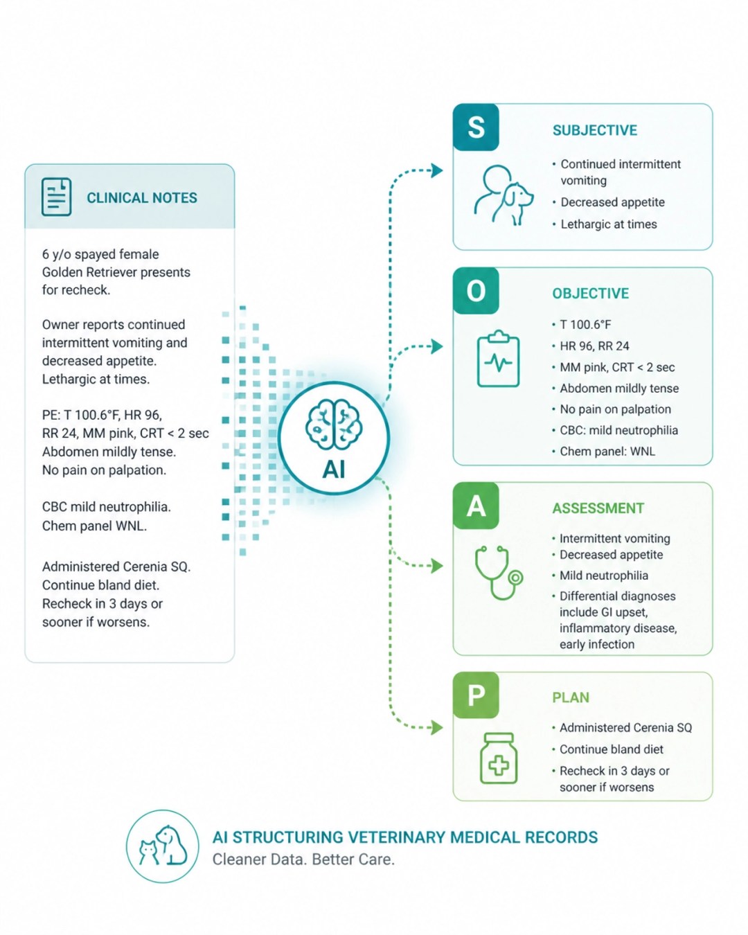 A minimalist flat design vector illustration showing clinical notes being organized into four clean boxes labeled S, O, A, and P.