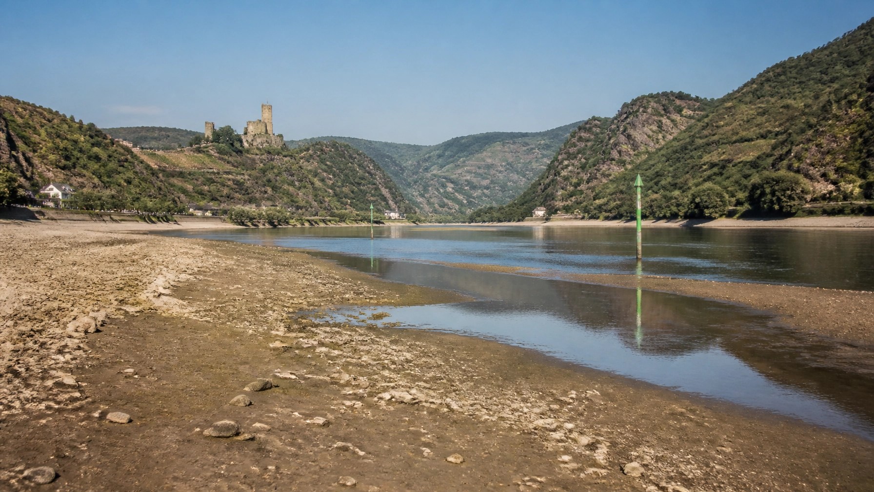 The Rhine near Kaub with exposed riverbanks, shallow water, vineyards, and distant castle scenery