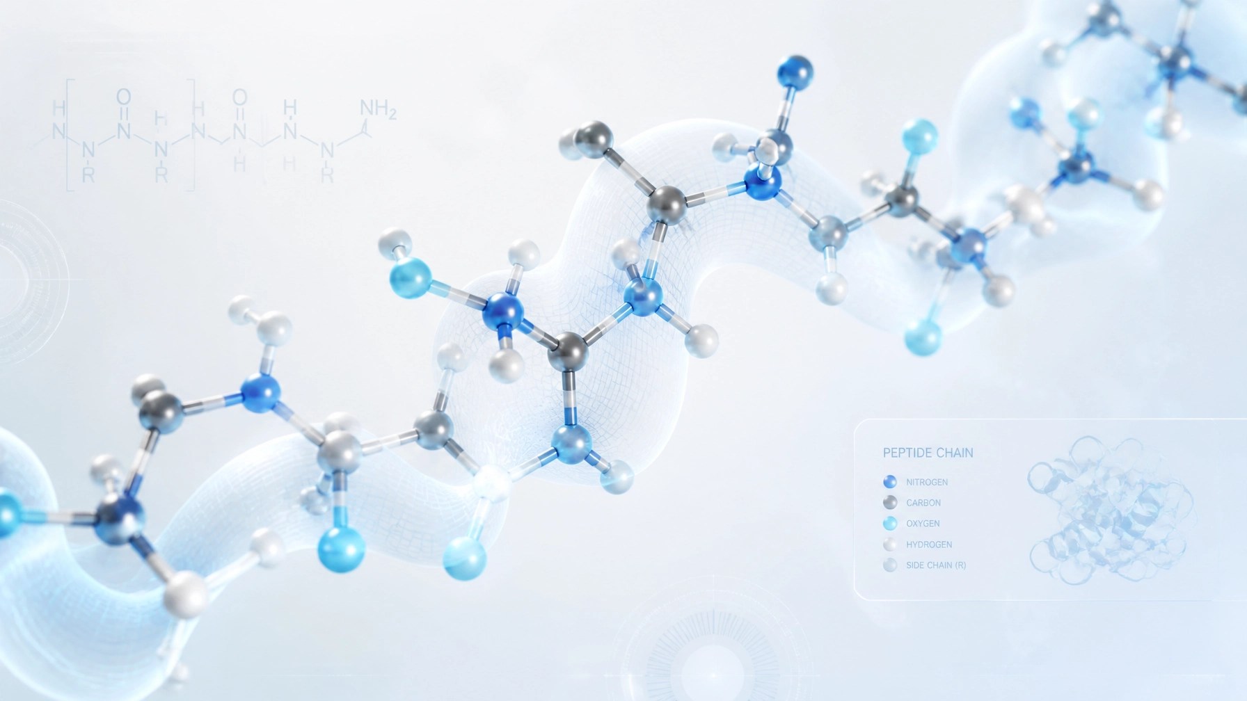Abstract peptide molecular structure