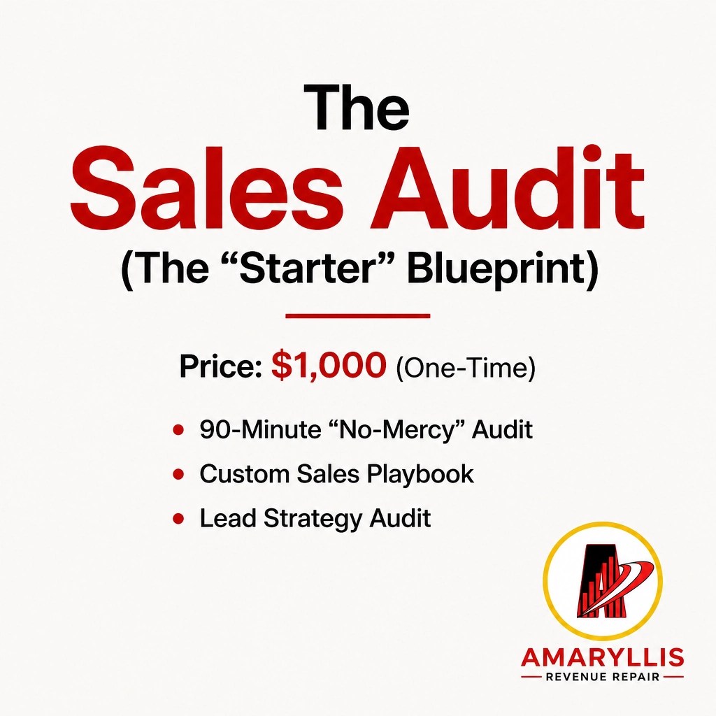 The Sales Audit catalog visual showing the starter blueprint for revenue repair