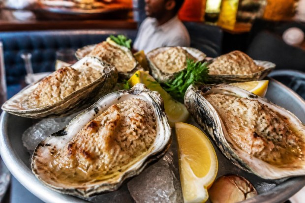 Gourmet chargrilled oysters on the half shell