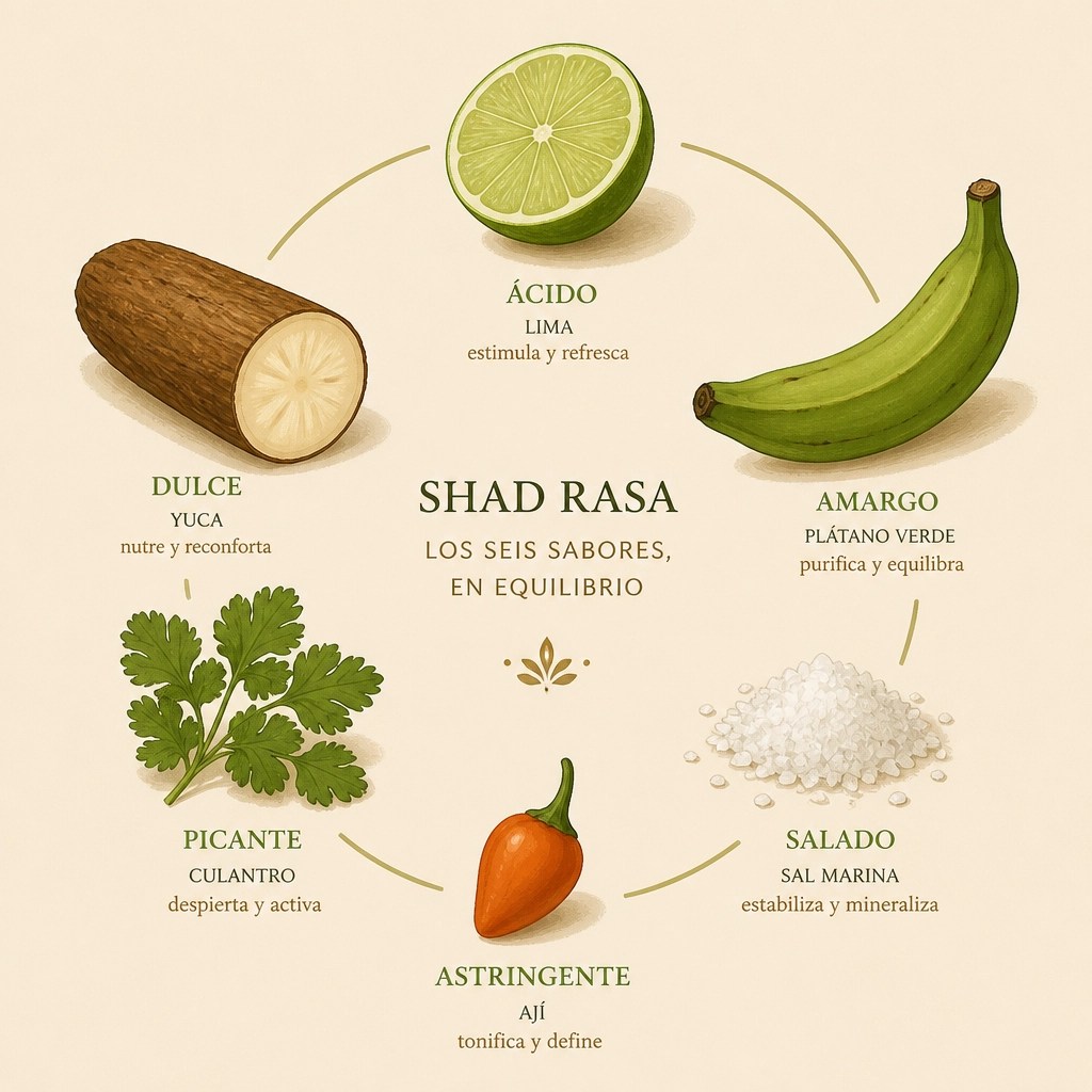 Representación ilustrada de los seis sabores ayurvédicos aplicados a ingredientes colombianos locales
