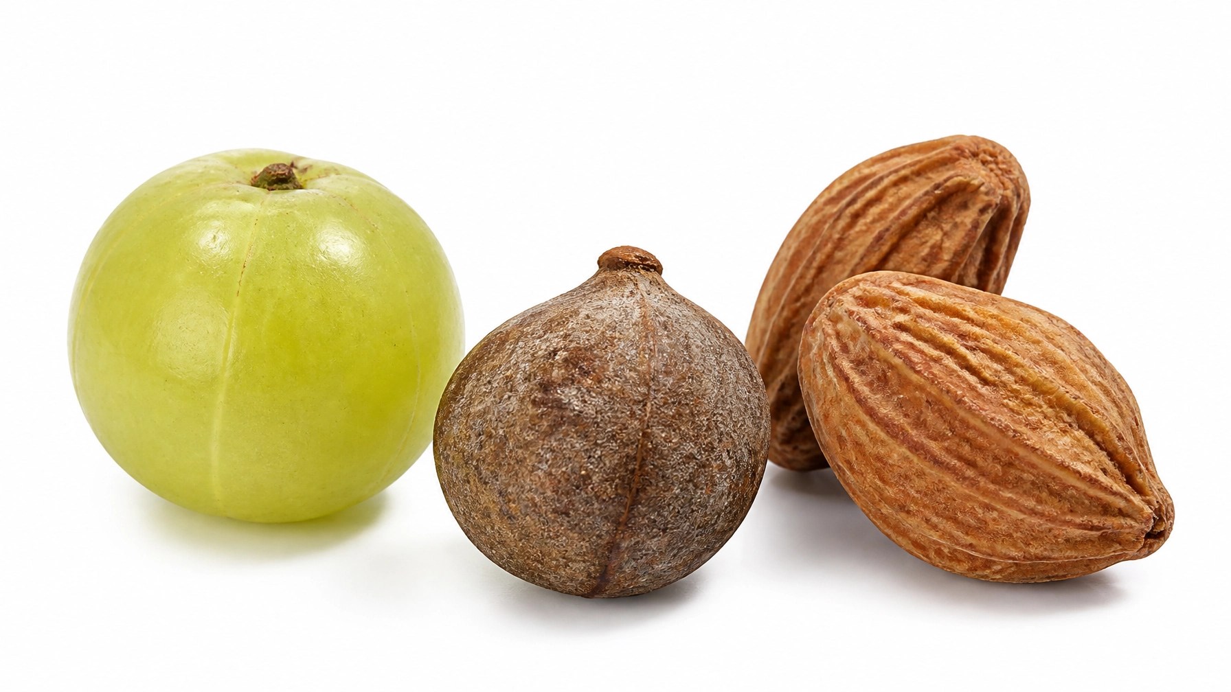 Las tres frutas que componen el Triphala: Amalaki, Bibhitaki y Haritaki sobre fondo blanco