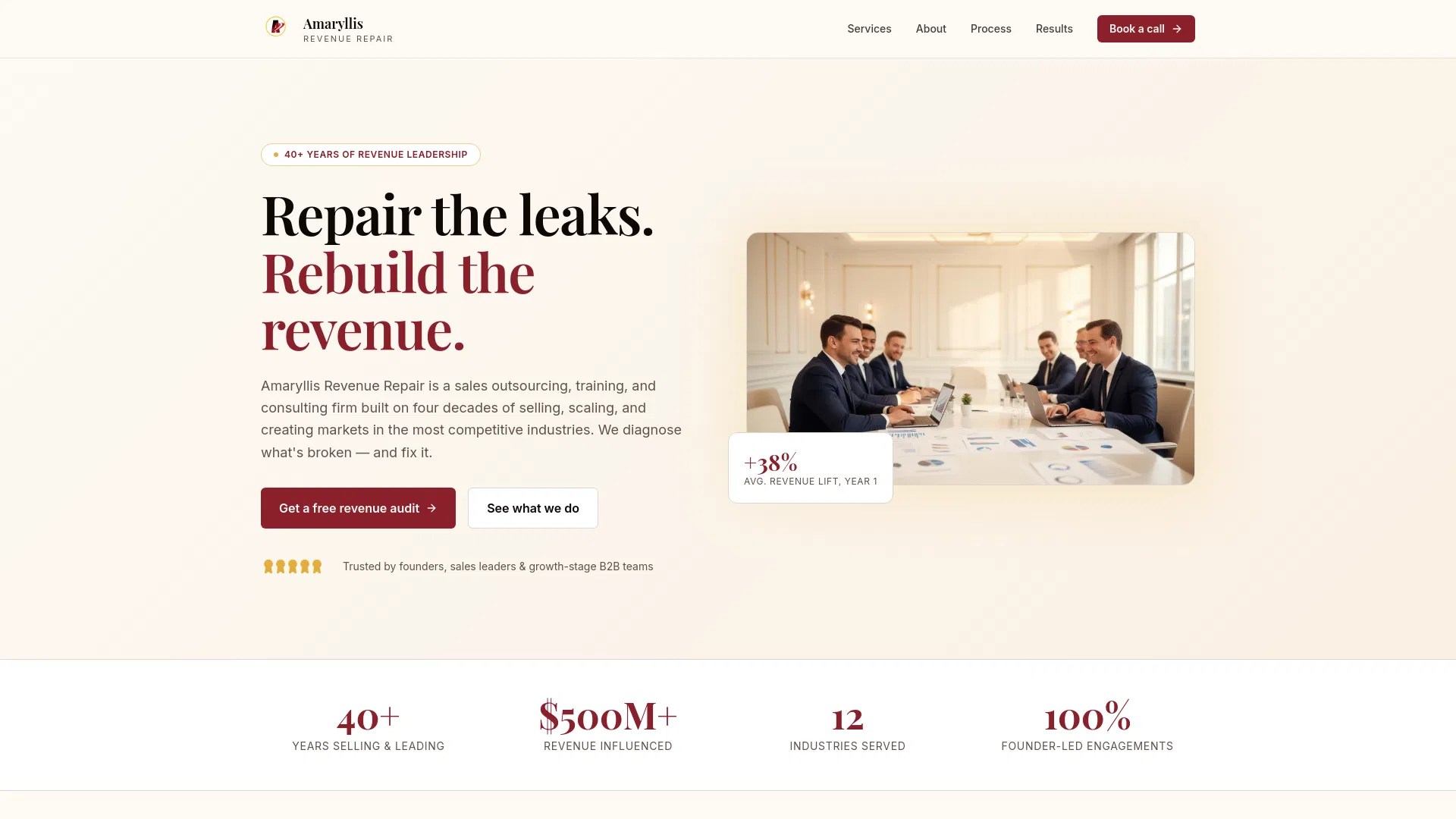 Amaryllis Revenue Repair - Repair the leaks. Rebuild the revenue.