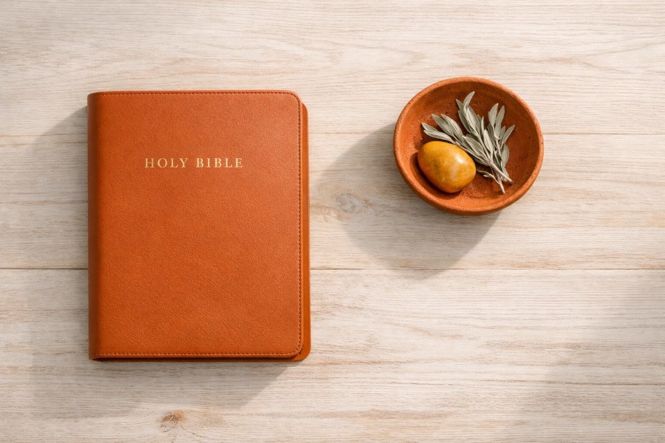 Terracotta earth tone Bible cover from the Grounded collection, representing a life rooted in faith.
