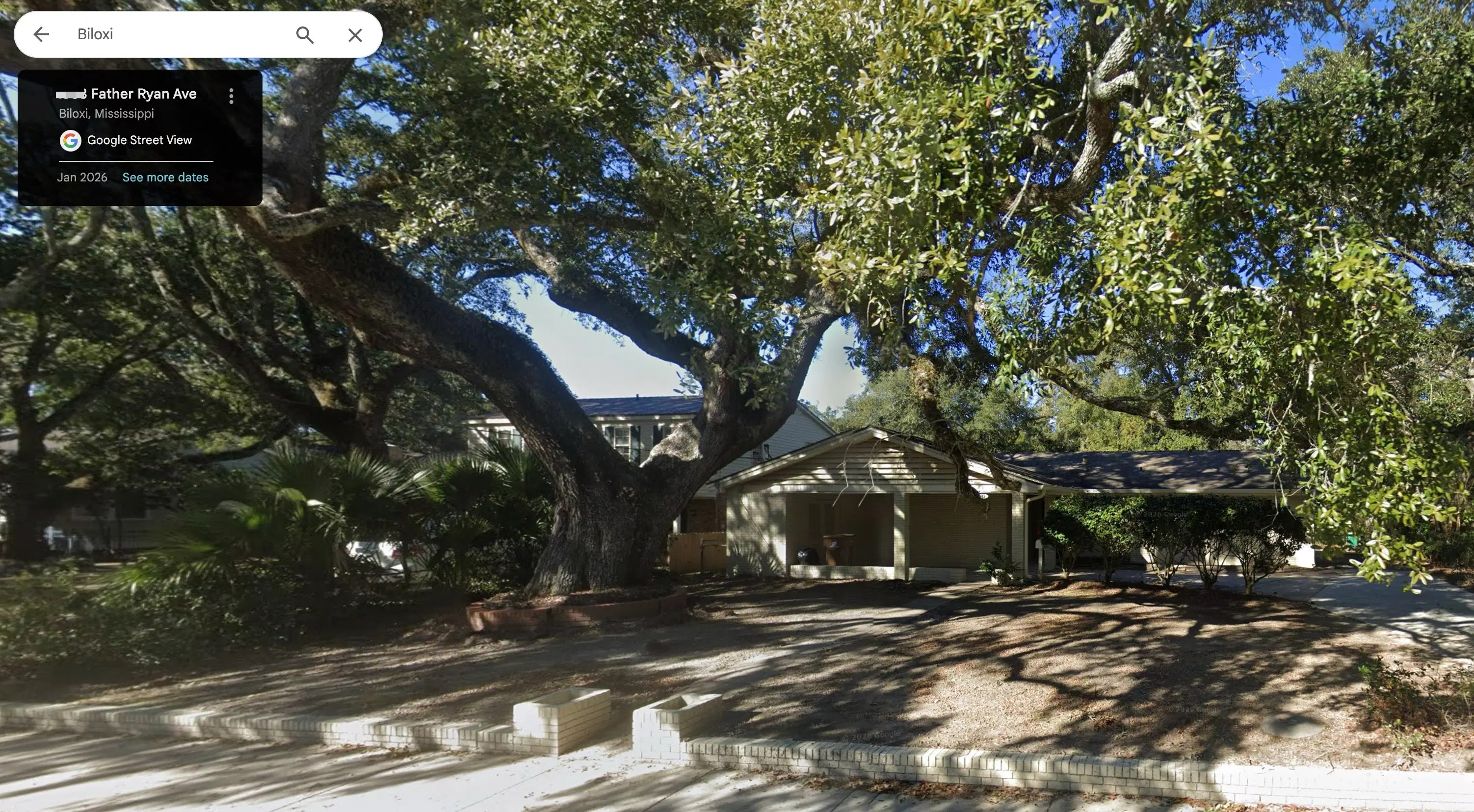 The magnificent live oak tree on Father Ryan Avenue in Biloxi, a witness to over sixty years of storms and memories.