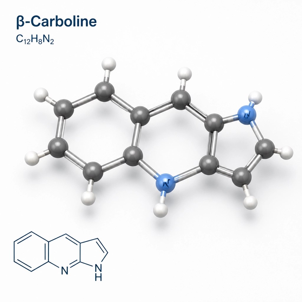 3D molecular structure of a beta-carboline compound