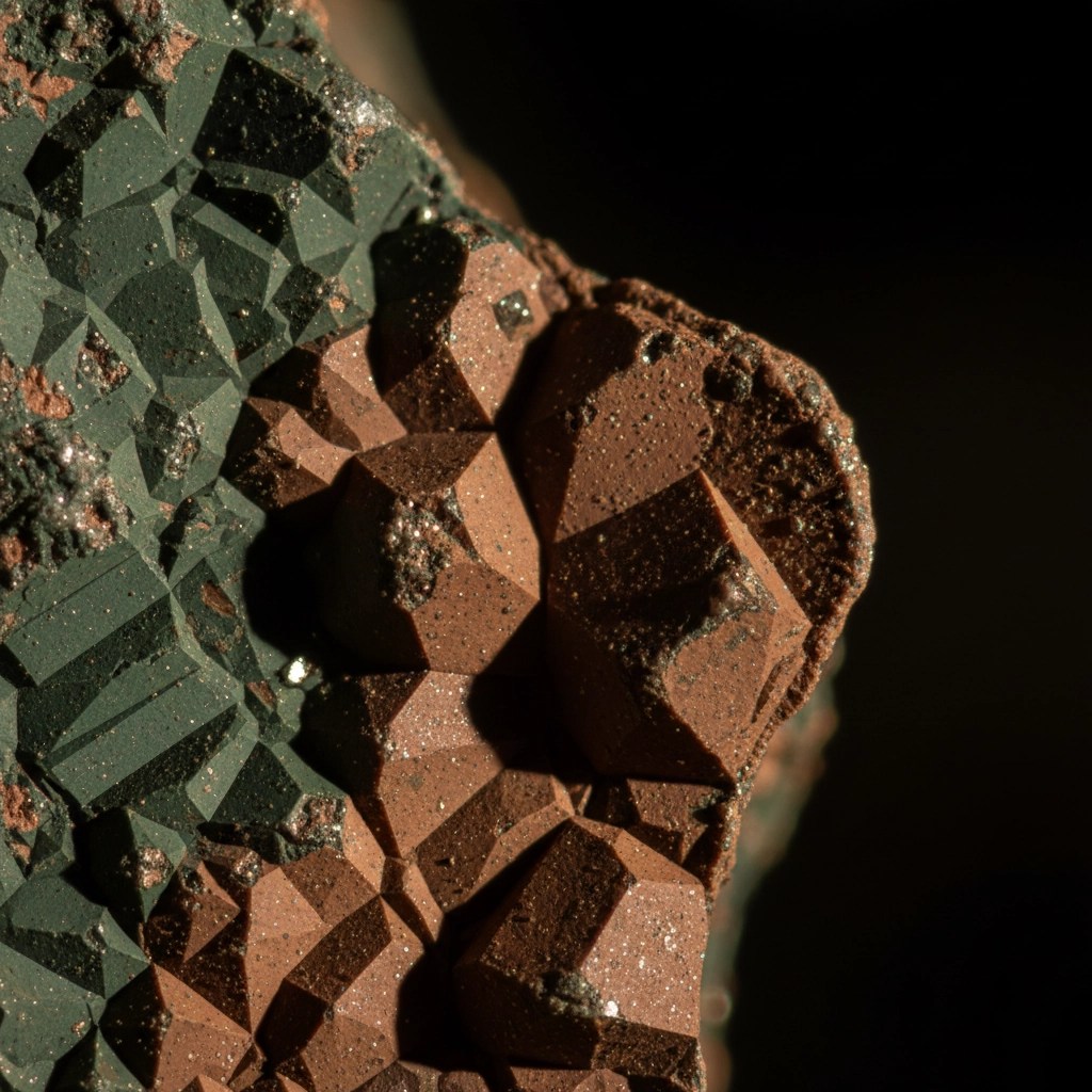 image_1