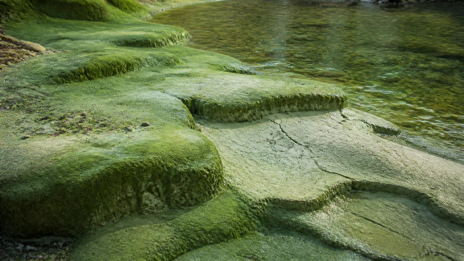 Natural mineral clay earth