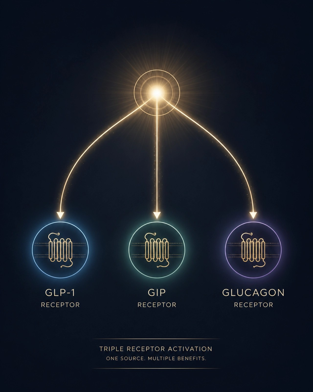 Triple receptor activation visualization