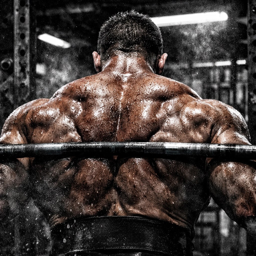 Powerlifter performing a heavy rack pull, showcasing intense trap and rhomboid muscle engagement for back density.