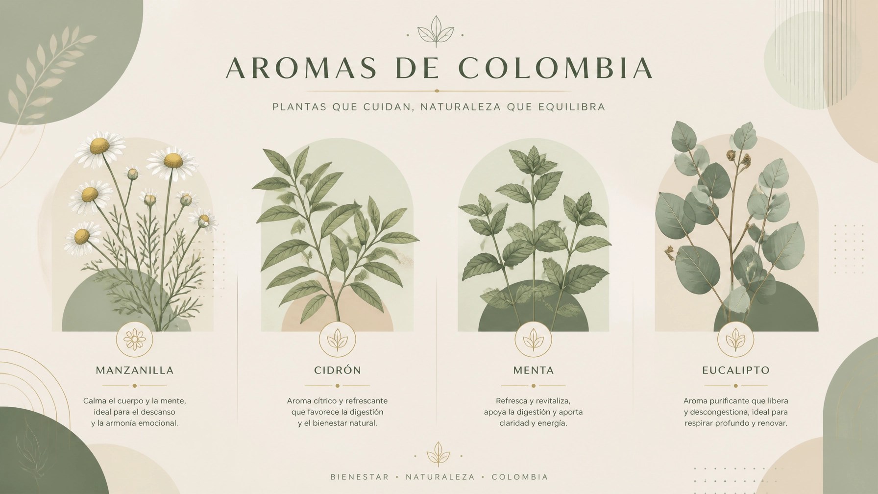 Preparación consciente de infusiones herbales en un hogar colombiano