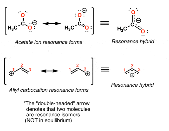 Ch3coo Lewis Structure How To Draw The Electron Dot Structure For Ch3coo 