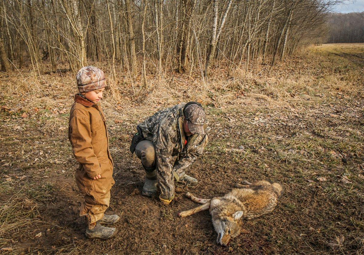 10 Coyote Trapping Mistakes Beginners Make Realtree Camo