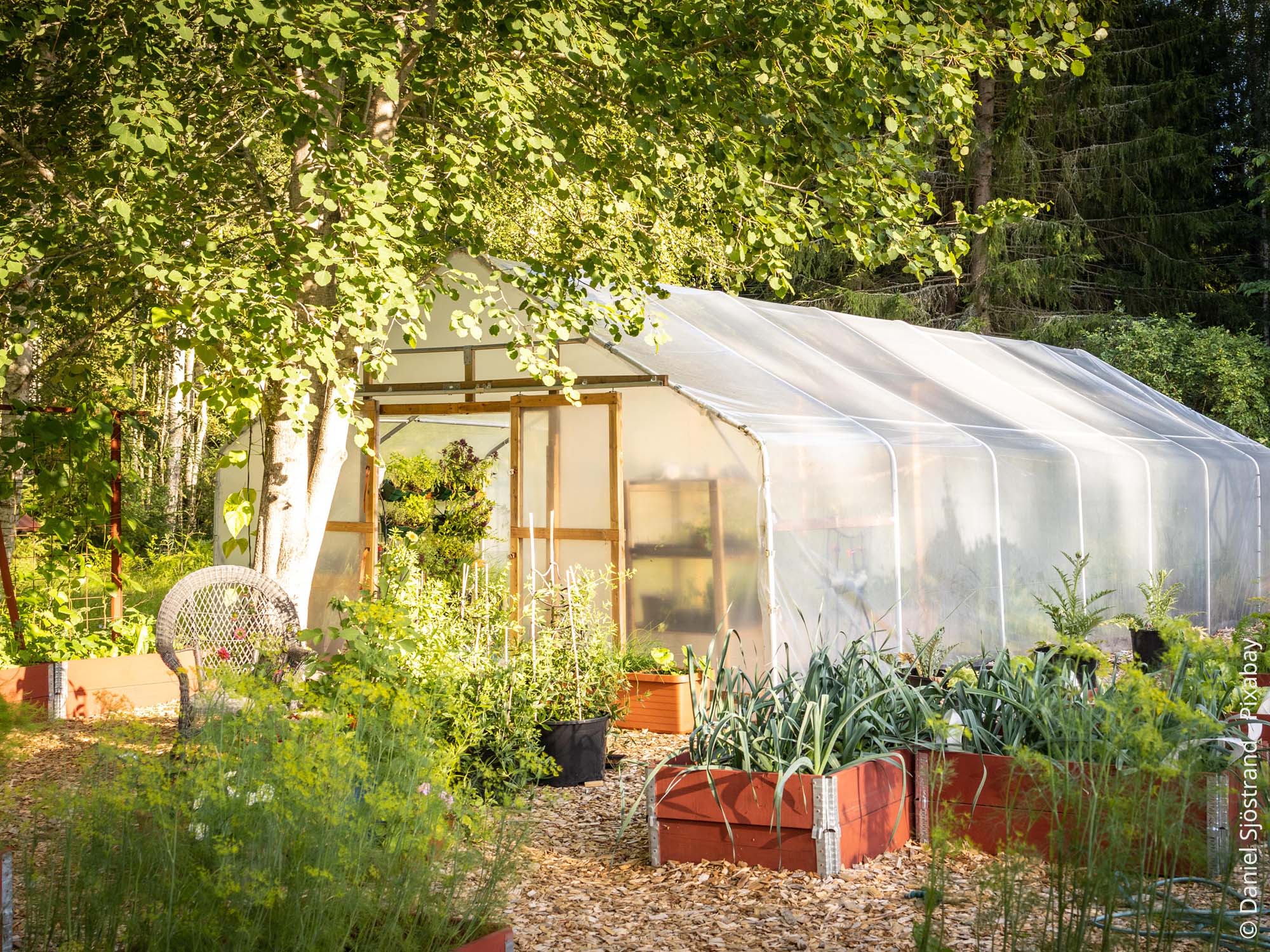 200 Gewachshaus Hauptstadt Garten Ideen Gewachs Glashaus Gewachshaus