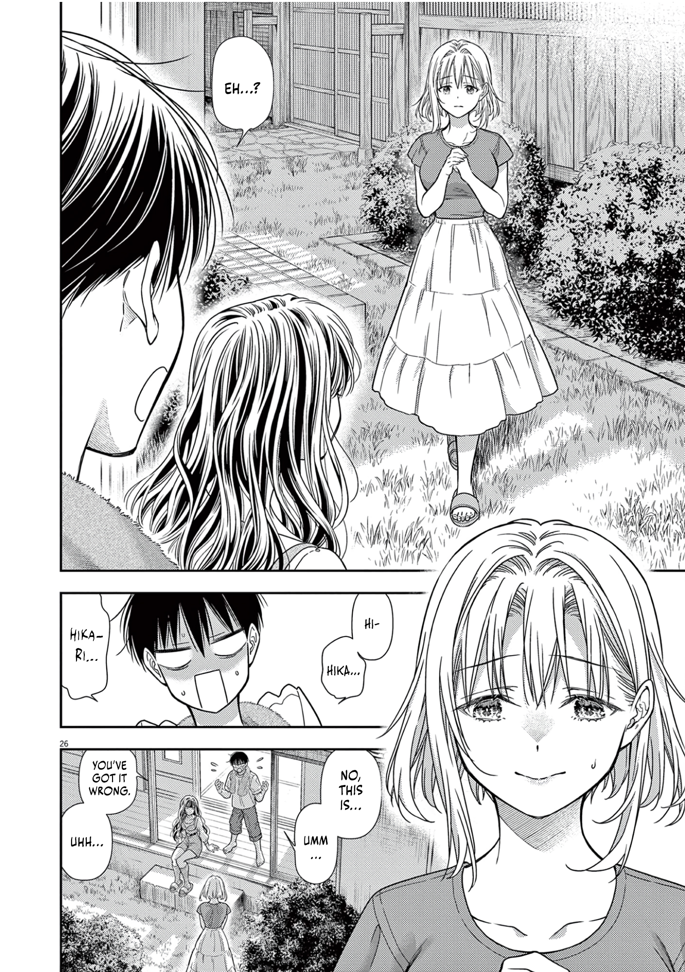 Page 26