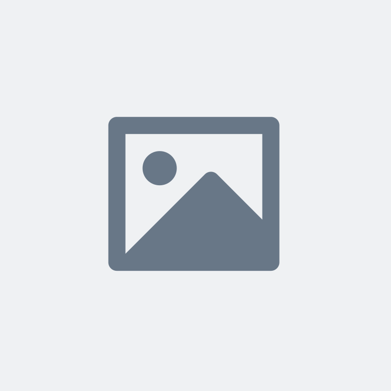 Script Creator Free AI App 