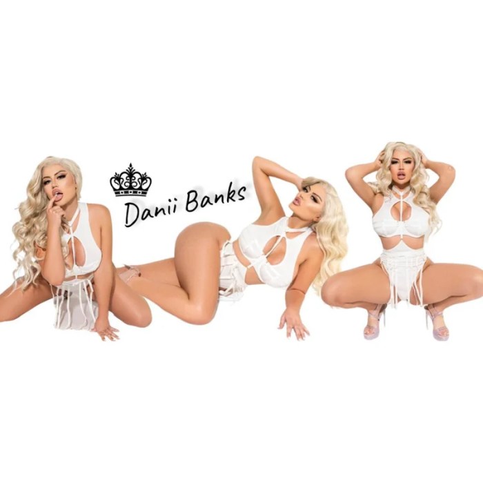 daniibankstv