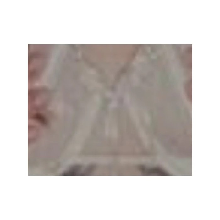 avanirose02